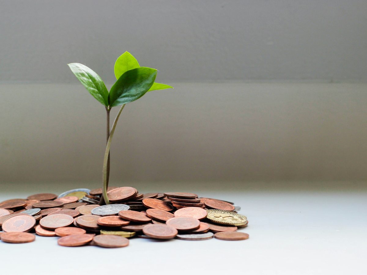Plant growing out of a pile of coins - representing growth during recession.